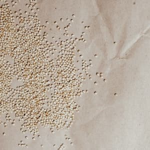 Quinoa Vit