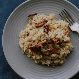 Kantareller Torkade