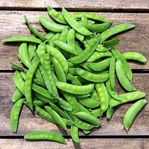 Sockerärtor Frysta