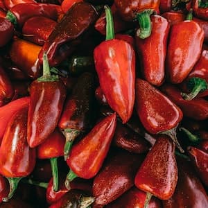 Snackpaprika