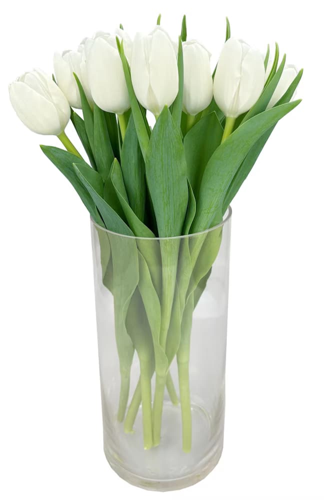 Tulpaner Vita 9-p
