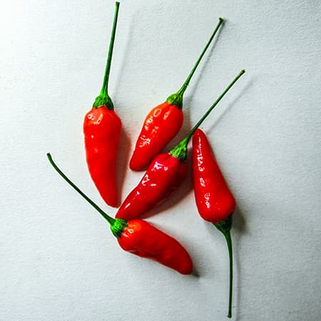 Piri Piri Färsk