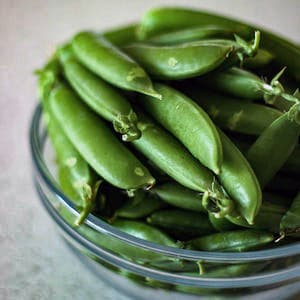 Sugarsnaps Färska