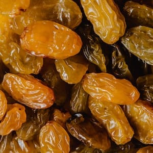 Russin Gula