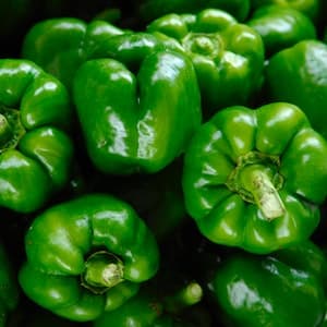 Paprika Grön
