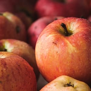 Äpple Gloster