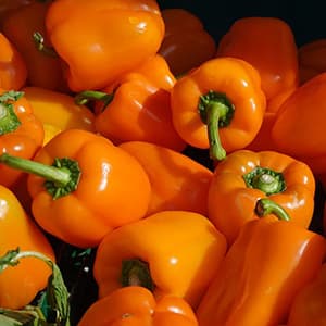 Paprika Orange