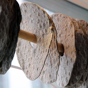 Knäckebröd Surdeg