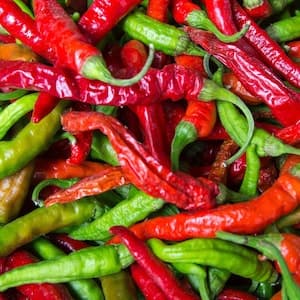 Chili Färsk