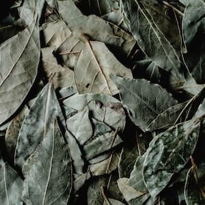 Lagerblad