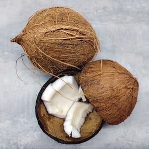 Kokosnöt Hel