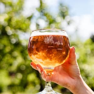 Folköl IPA