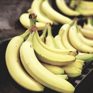Banan