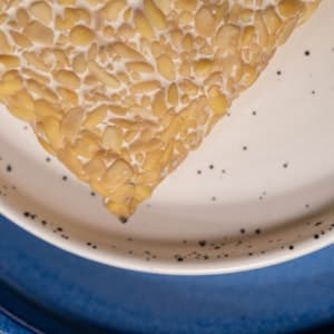 Tempeh Naturell