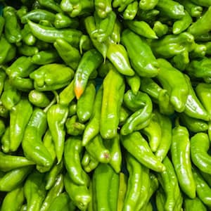 Paprika Sivri