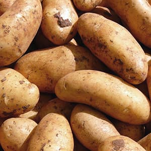 Potatis Amandine