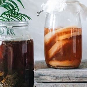 Kombucha Persika