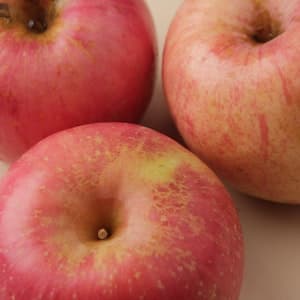 Äpple Pink Lady
