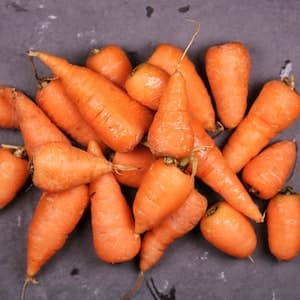 Snackmorot