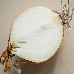 Gul Lök