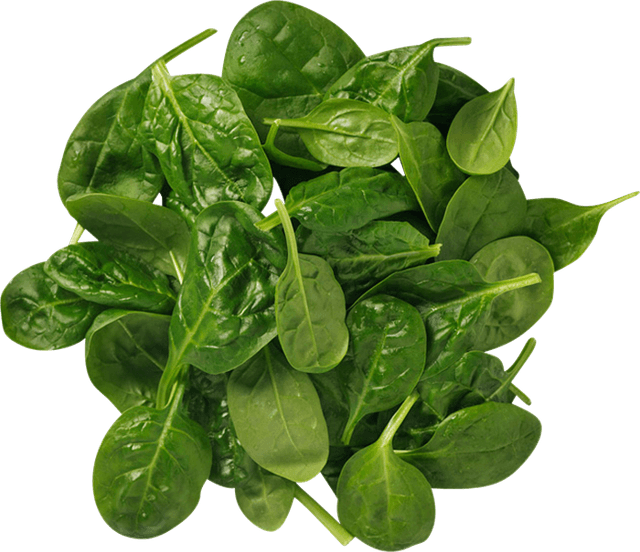 Babyspenat storpack Klass1 Italien