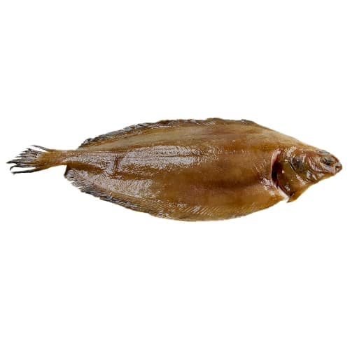 Rödtunga