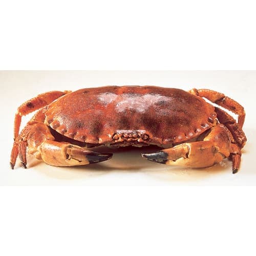 Krabba Kokta