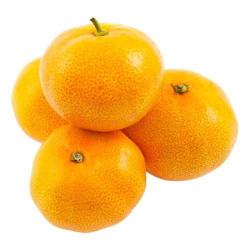 Citrus Små