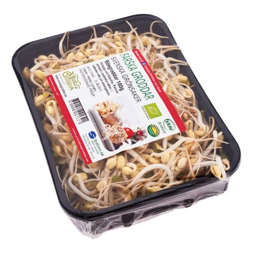 Böngroddar EKO KRAV