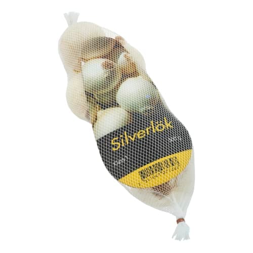 Lök Silver Klass 1