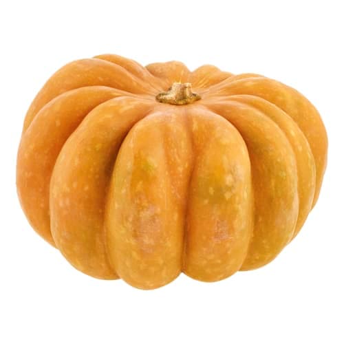Pumpa Muskat