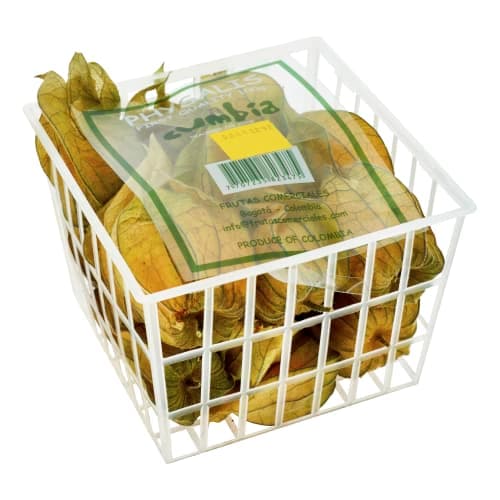 Physalis Klass 1