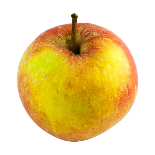 Äpple Cox Orange