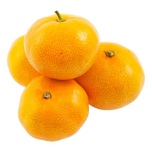 Clementiner