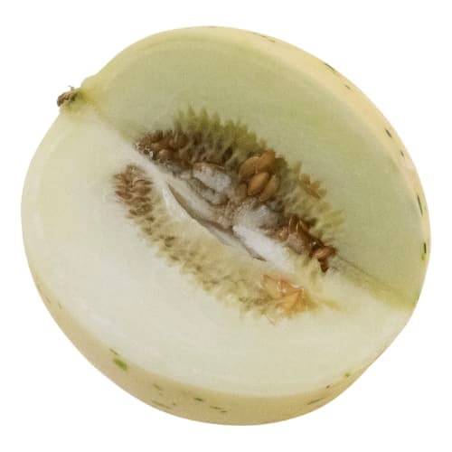 Melon Matisse Hel