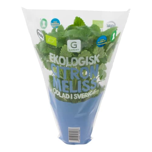 Citronmeliss i Kruka Klass 1 EKO