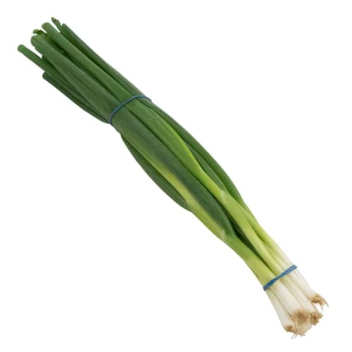 SalladslökI Knippe, Klass 1