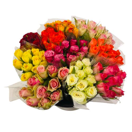 Rosor Ros 10 Pack Korta