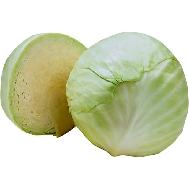 Vitkål