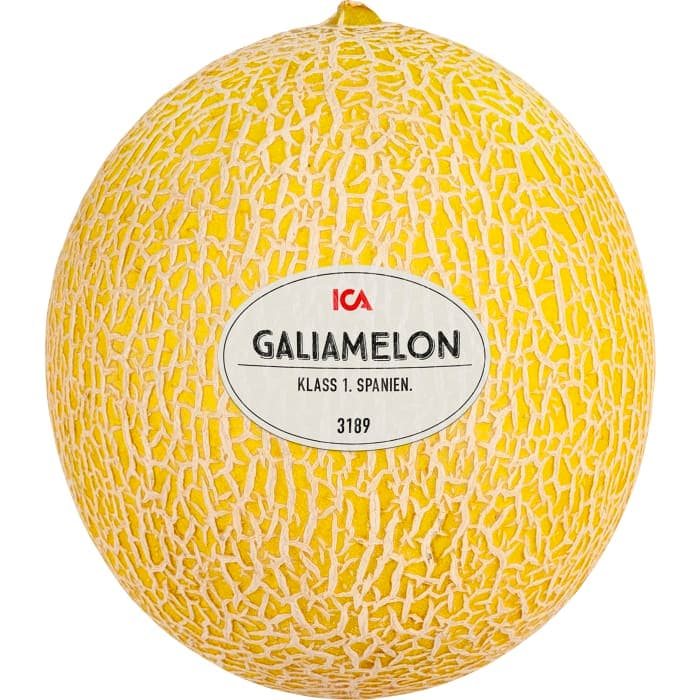 Galiamelon Klass 1