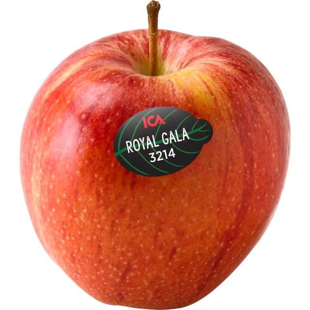 Äpple Royal Gala Klass 1