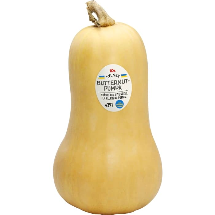 Pumpa Butternut
