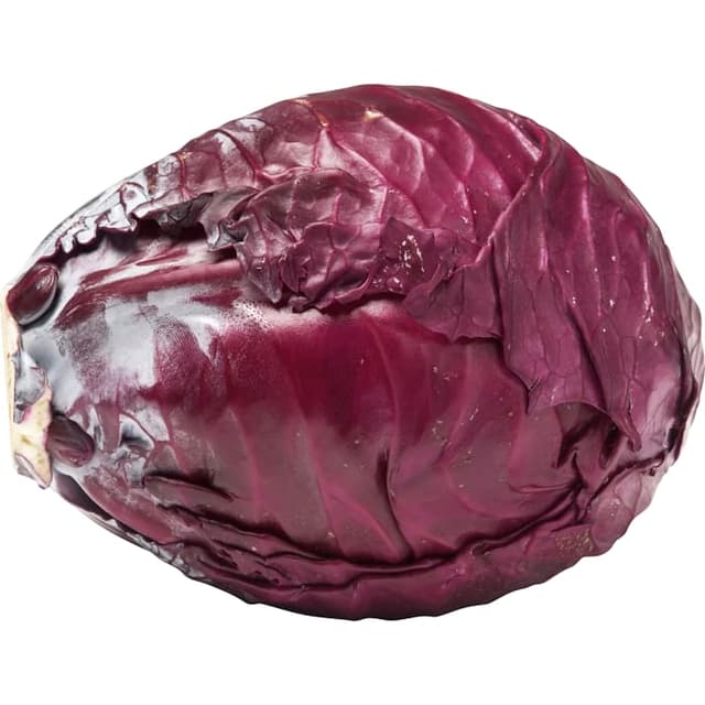 Rödkål