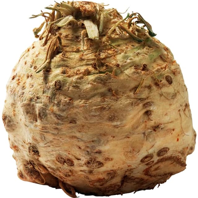 Rotselleri