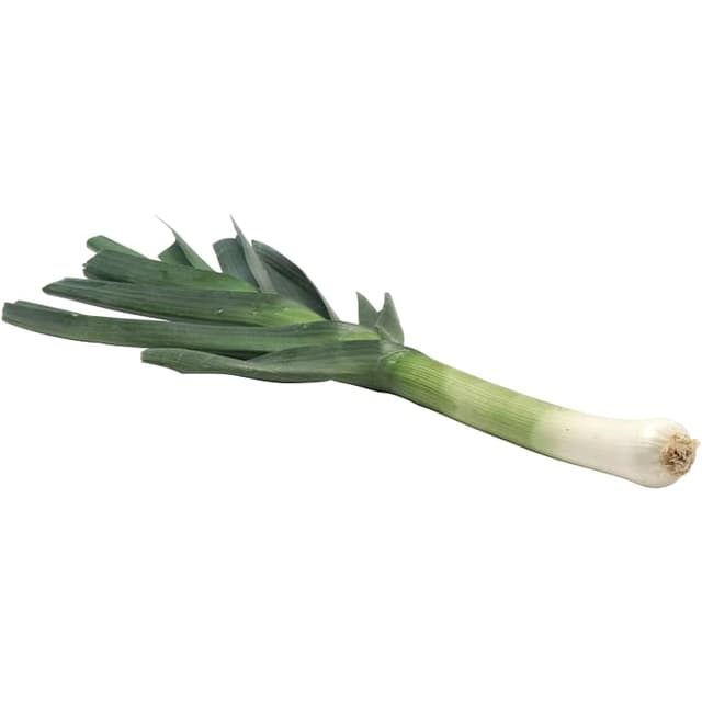 Purjolök