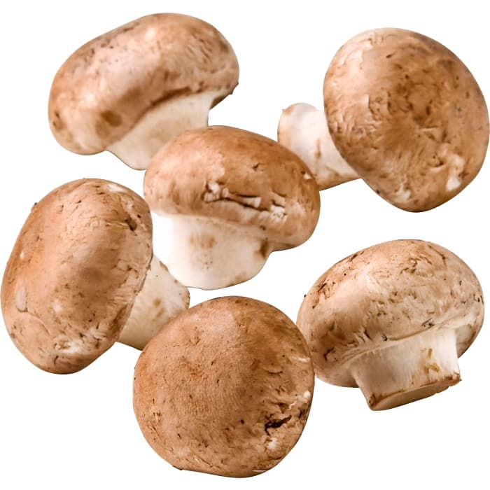 Kastanjechampinjon