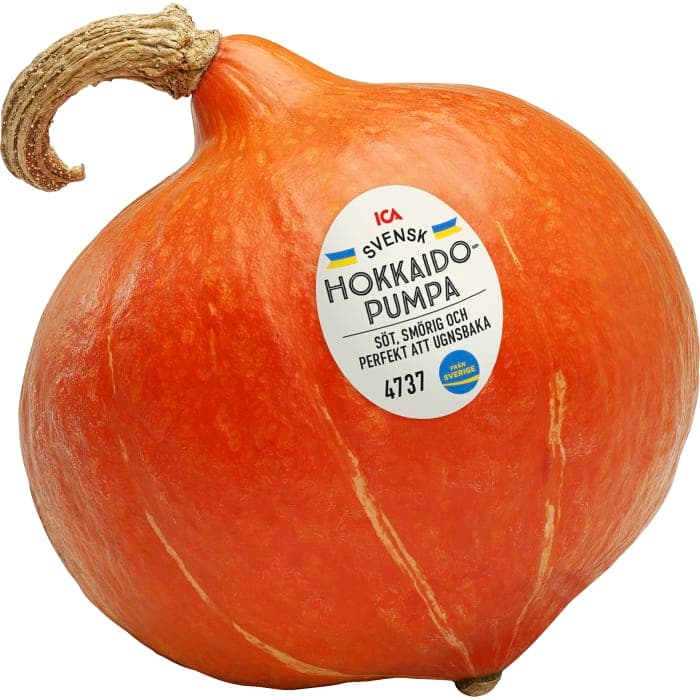 Hokkiadopumpa