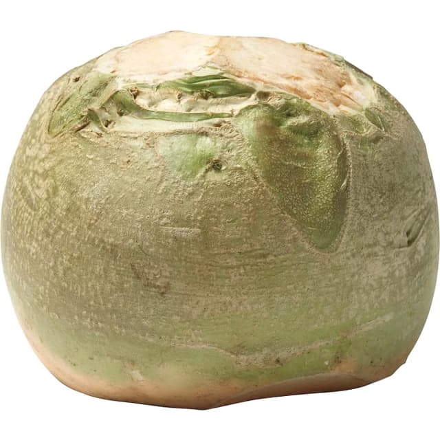 Kålrot