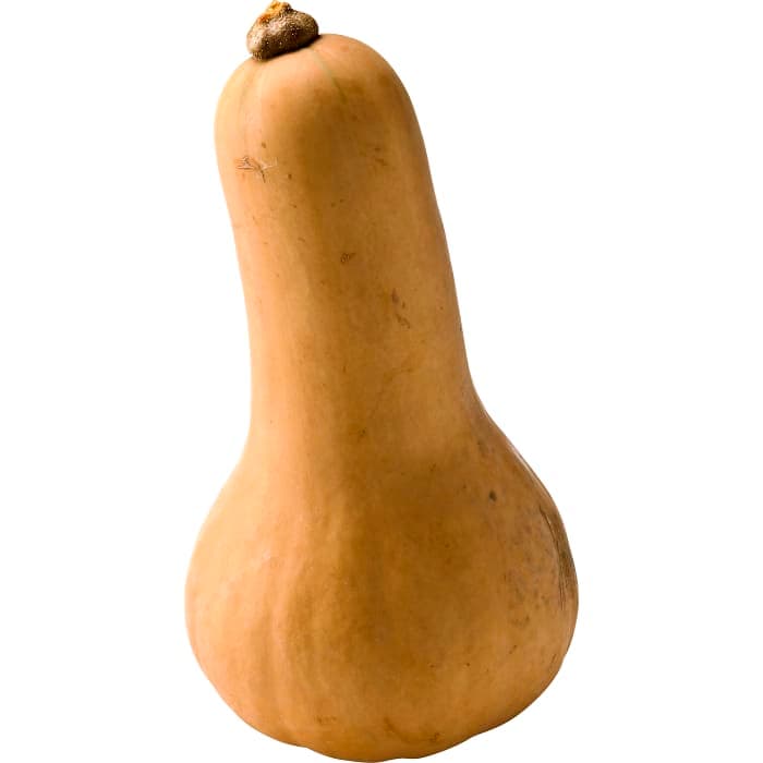 Pumpa Butternut