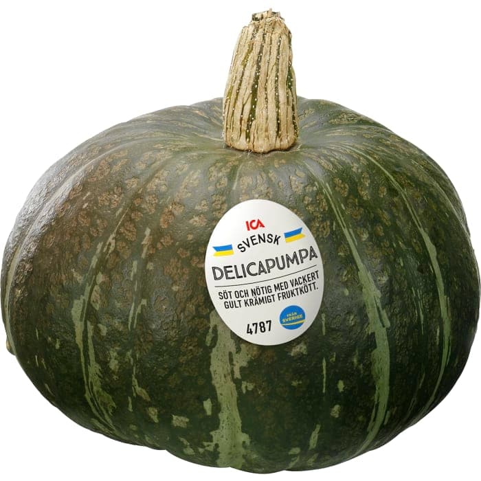 Pumpa DelKlass 1